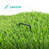 50 U-Shape Ground Pegs - Black